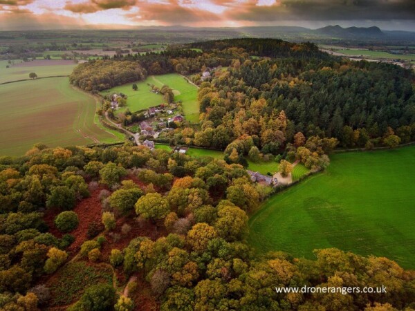 Nesscliffe 